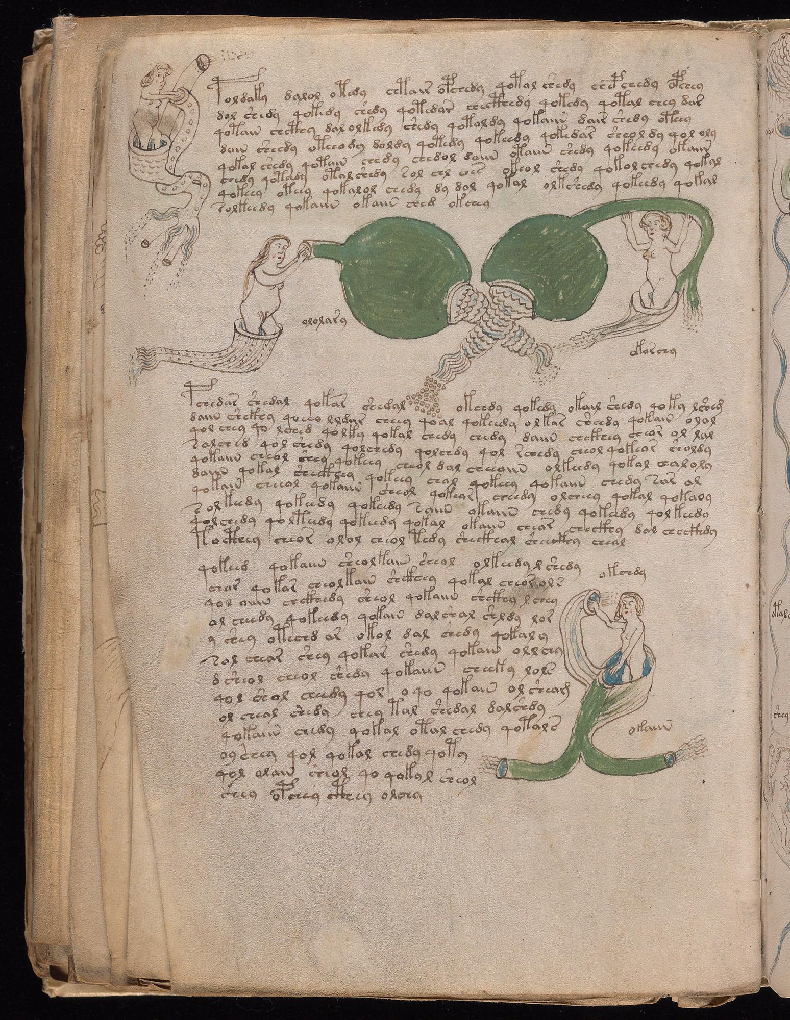 Voynich Manuscript folio f83v — Beinecke MS 408